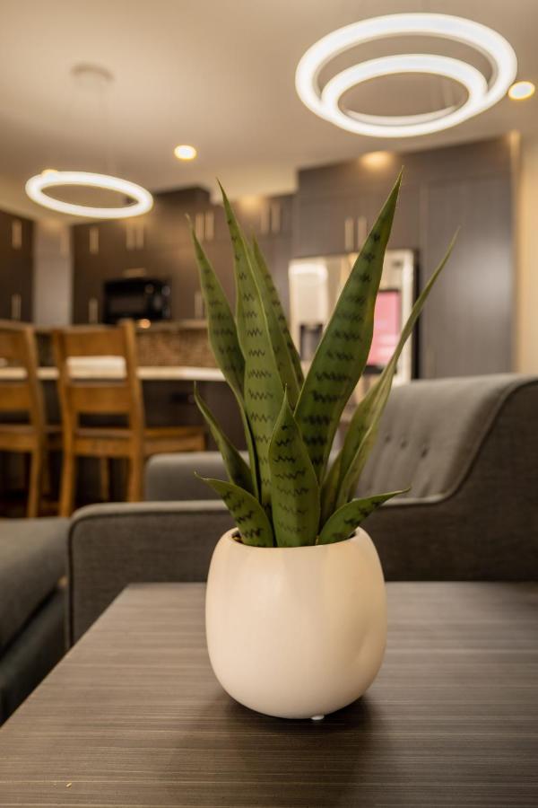 Quality Inn Sunshine Suites Терас Екстериор снимка